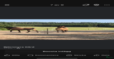  stallplats i Sköldinge - Annons 16