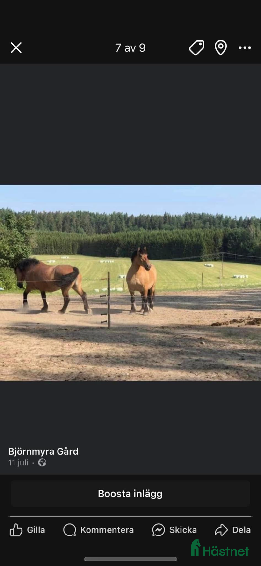  stallplats finnes: Stallplatser  i Sköldinge - Annons 2
