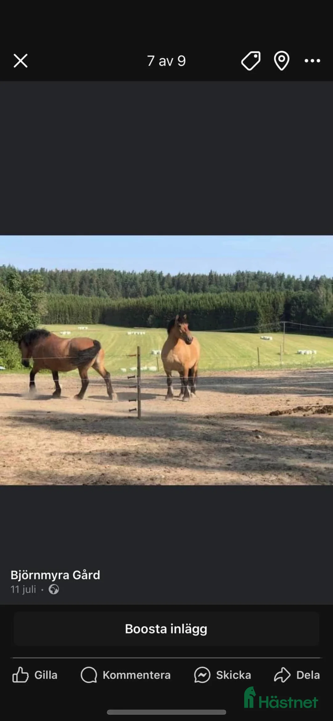  stallplats finnes: Stallplatser  i Sköldinge - Annons 2