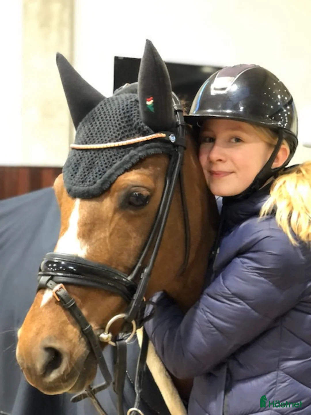 Dressyr hästar till salu: Lovely dressagepony - Annons 3