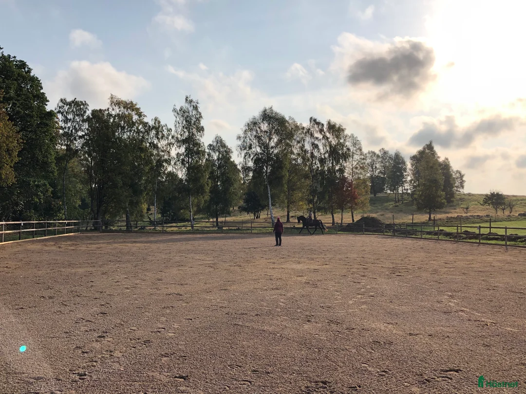  stallplats finnes: Lösdrift på Skogäng, Veberöd - Annons 2