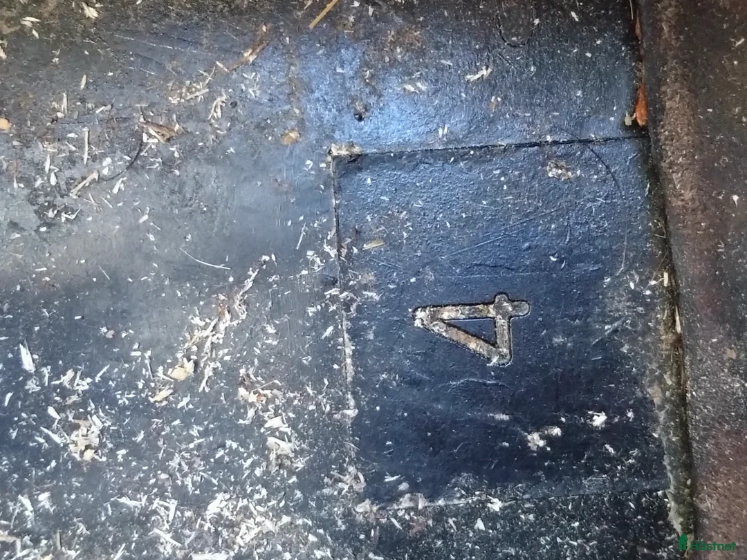 Övrig utrustning övrig utrustning till salu: Cavallo Trek strl 4 - Annons 5