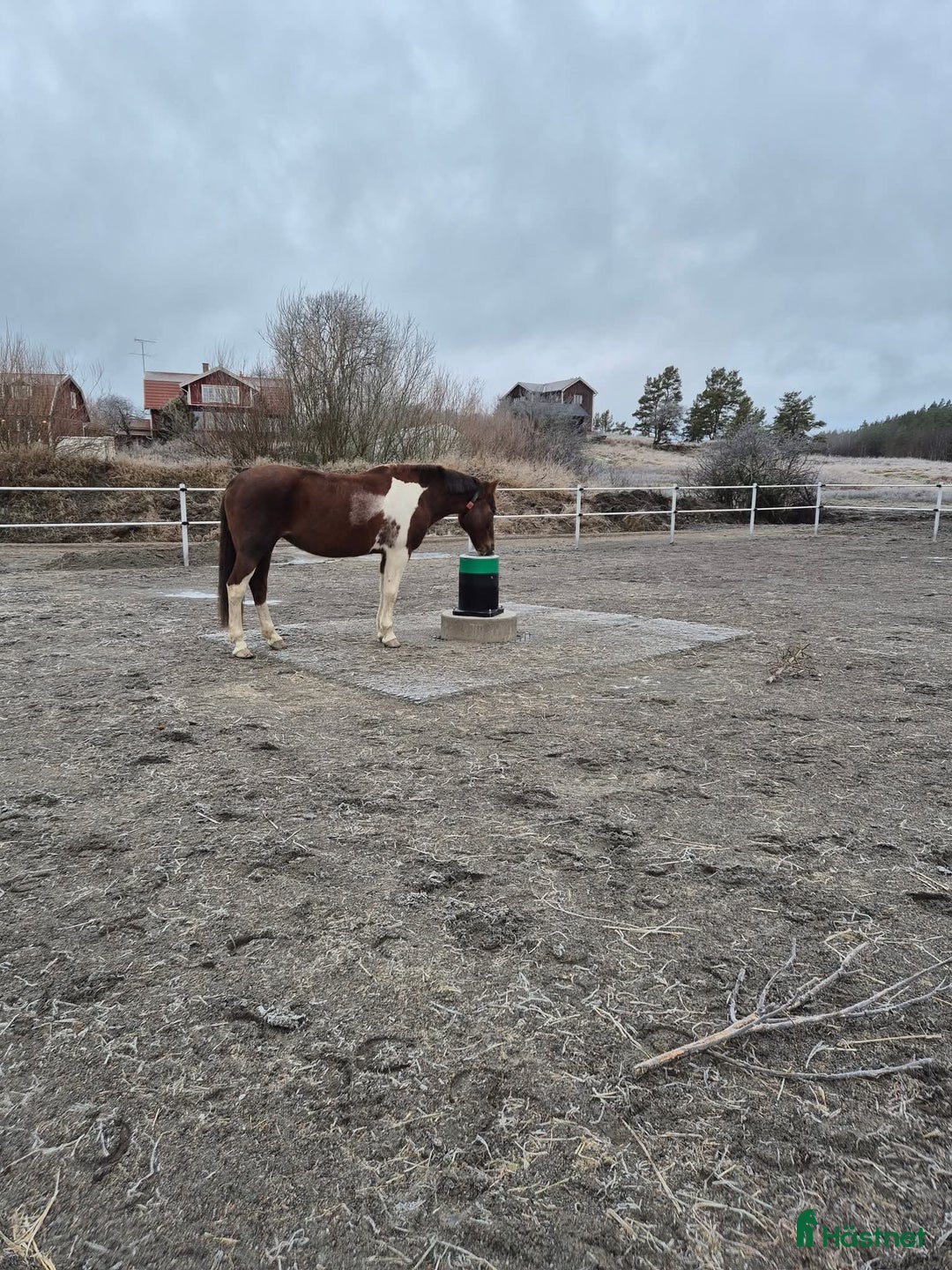  stallplats finnes: Active stable Haninge södra Stockholm  i Österhaninge - Annons 11