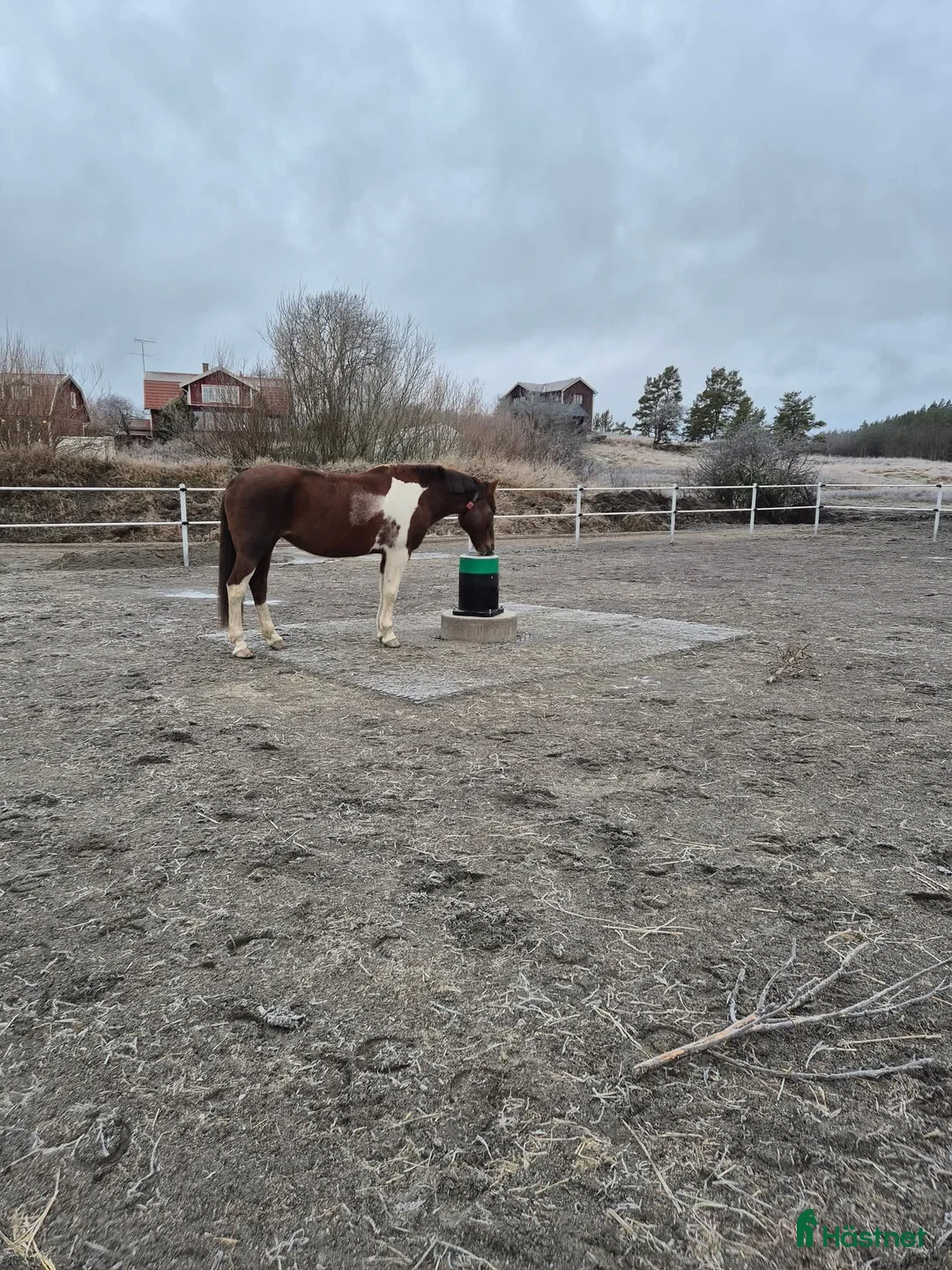  stallplats finnes: Active stable Haninge södra Stockholm  - Annons 11