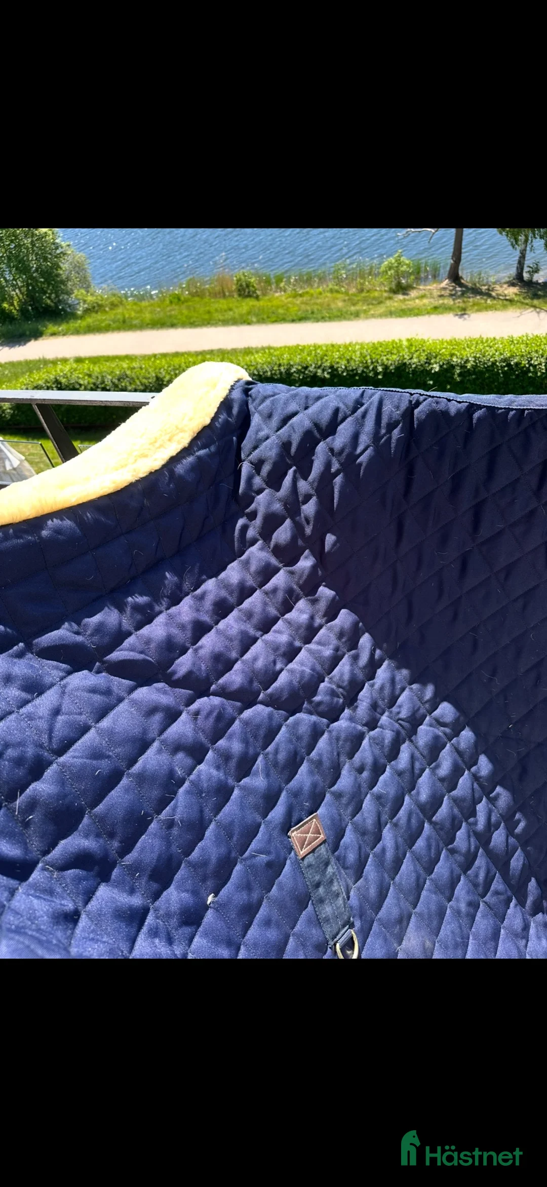 Täcken hästutrustning till salu: Kentucky show rug - Annons 4