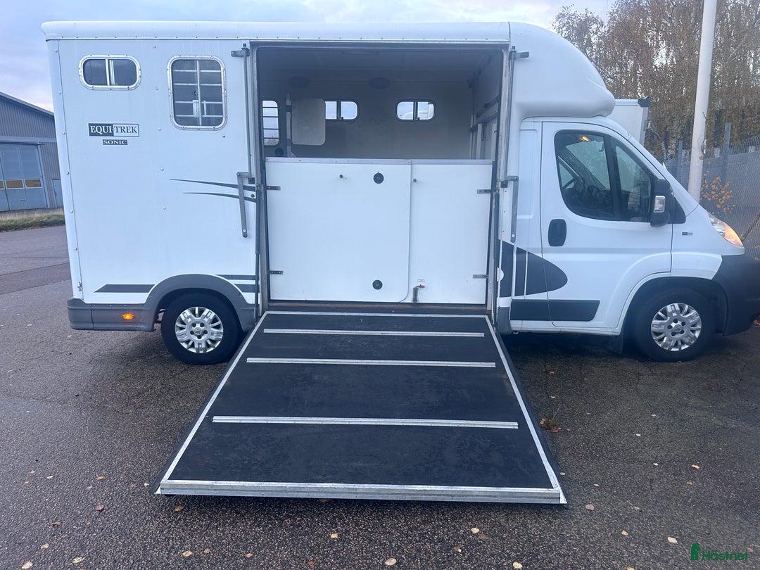 Hästlastbilar  fordon & transport till salu: Bkortsbil hästlastbil i Getinge - Annons 8