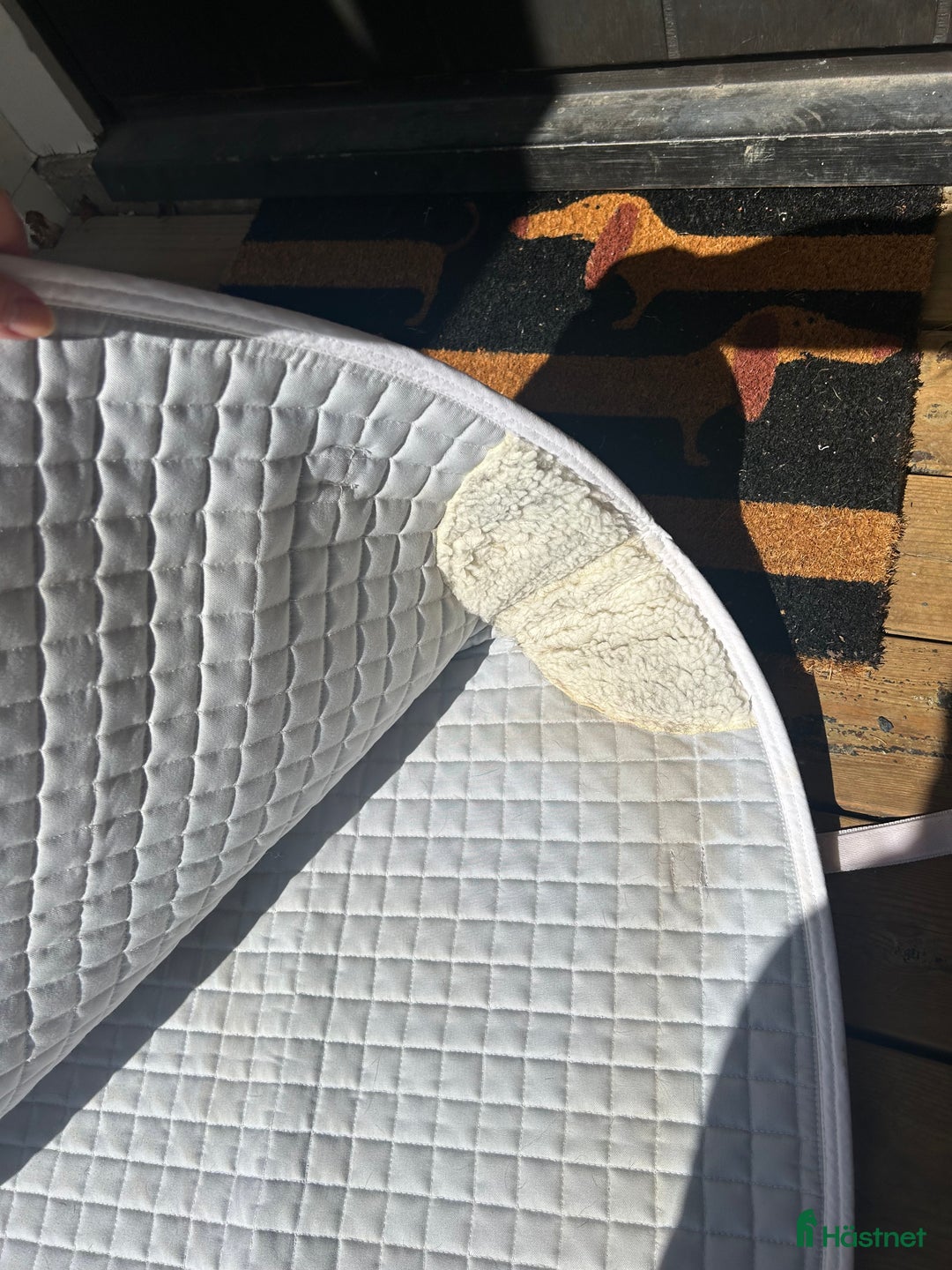 Schabrak & Vojlockar hästutrustning till salu: Dressyr schabrak från Mias i Sala - Annons 3