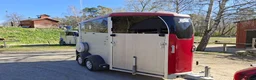 Hästtransporter  fordon & transport till salu: Ifor Williams HBX403 i Sollentuna - Annons 4