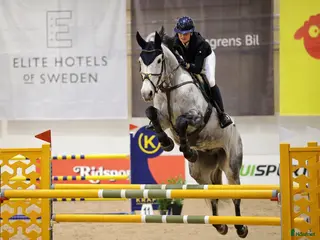 hästar Valack med potential för stora klasser 🌟 - Annons 5