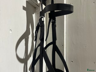 Övrig Hästutrustning hästutrustning till salu: Kapson med fast järn i Nättraby - Annons 2