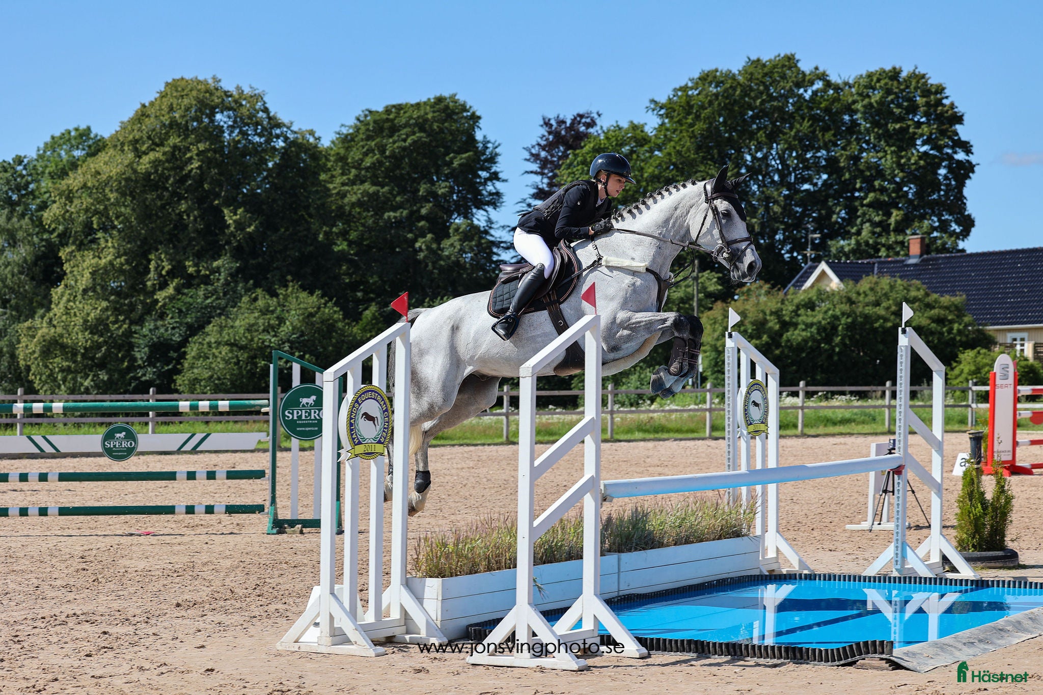  hästar Fantastisk fin SWB med bra gång och hoppning i Laholm - Annons 17