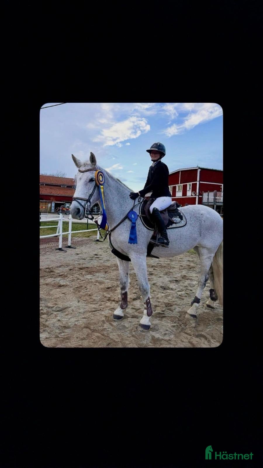  hästar Lyxig mamma/dotter häst  - Annons 4