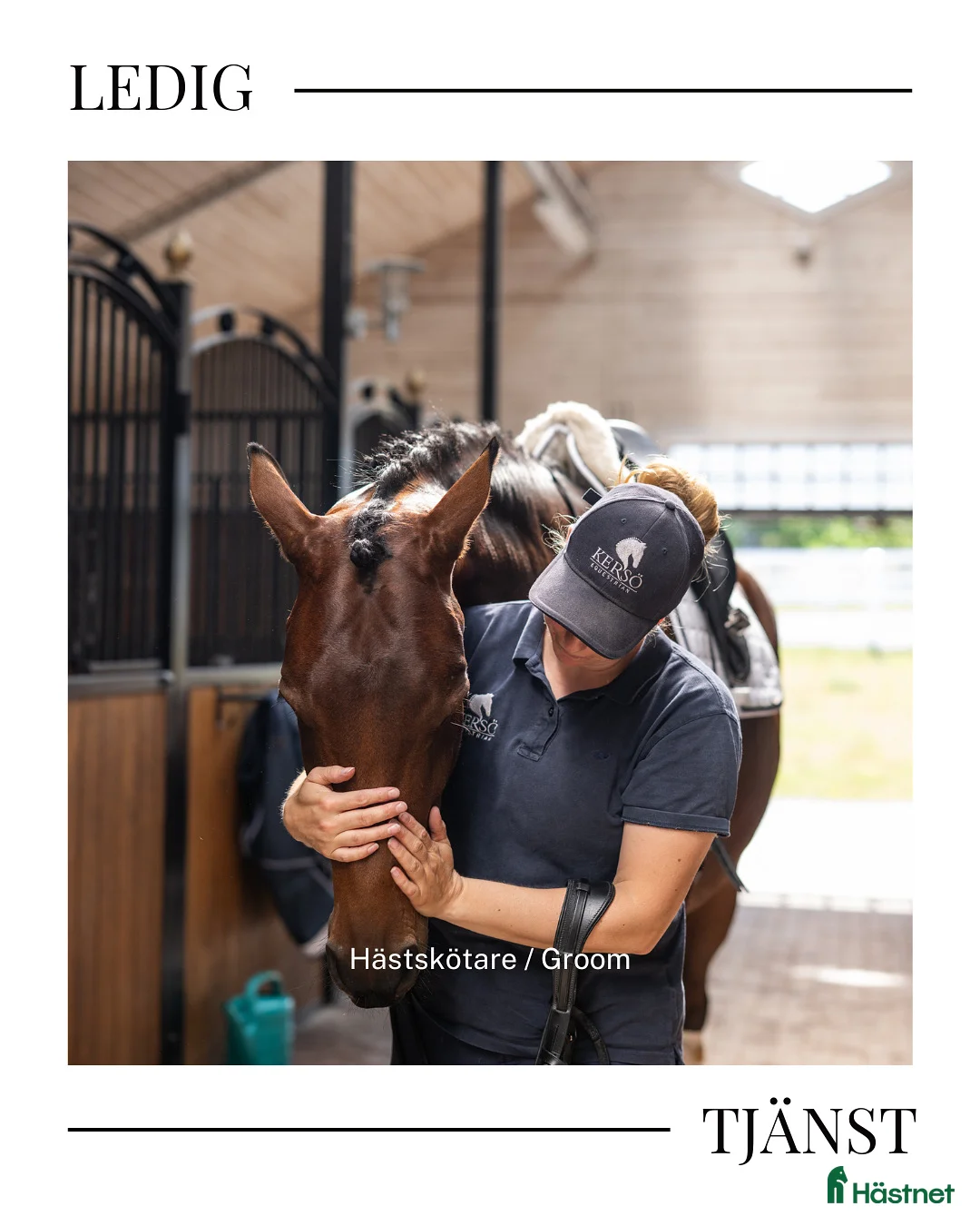  hästjobb finnes: Groom/Hästskötare till Kersö Equestrian i Ekerö - Annons 1