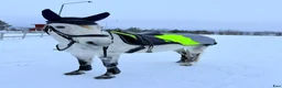 Allround hästar till salu: D-ponnyvalack säljes - Annons 6