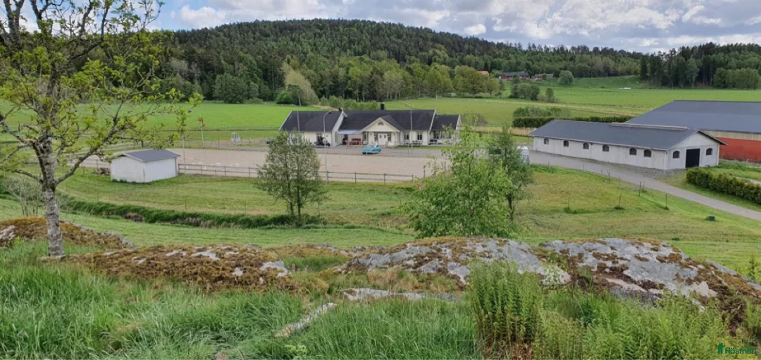  foderhäst sökes: Sällskapshäst/skogsmulle sökes i Älvängen - Annons 1