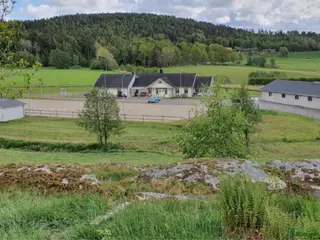 foderhäst Sällskapshäst/skogsmulle sökes - Annons 4