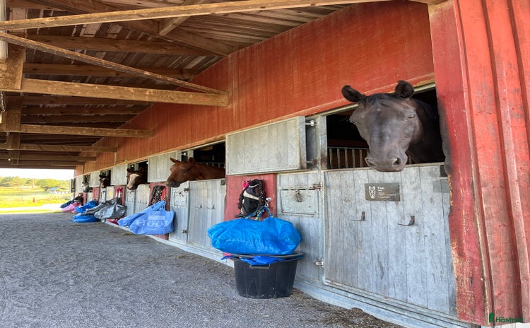  stallplats i Vallentuna - Annons 15