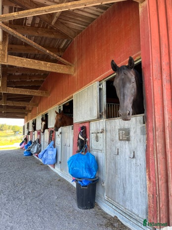 stallplats i Vallentuna - Annons 15