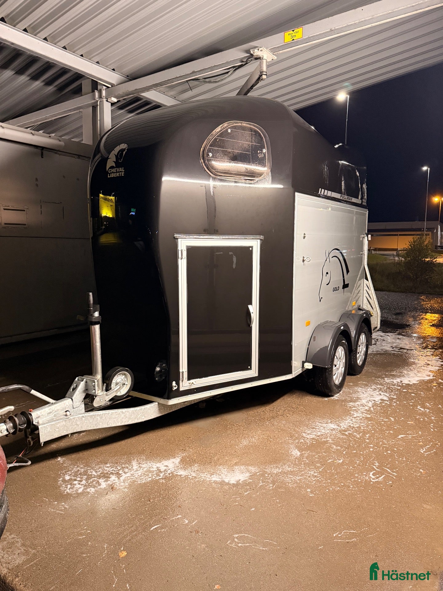 Hästtransporter  fordon & transport till salu: Cheval Liberte Gold - Annons 5