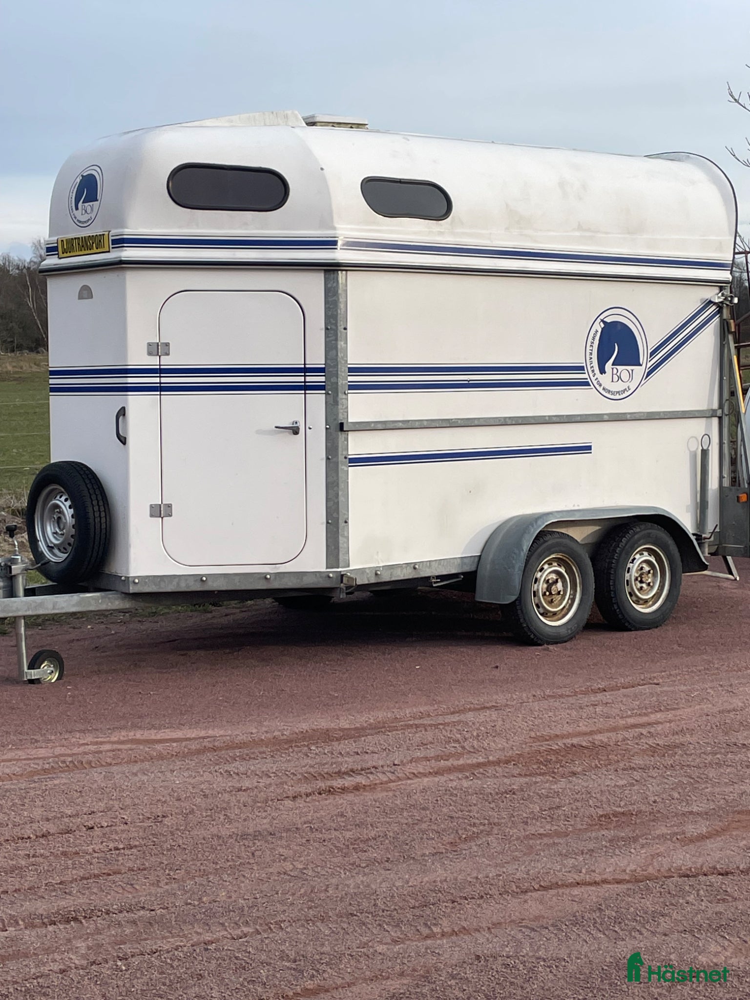 Hästtransporter  fordon & transport till salu: Boj se med step-up och sadelkammare  - Annons 9