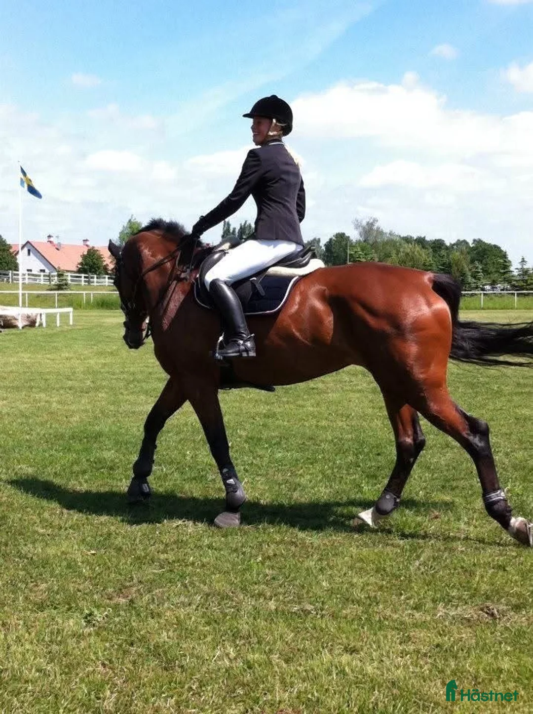 Jackor & Kavajer ryttarutrustning till salu: Tävlingskavaj från Pikeur, svart, 38 (mer som 36) - Annons 1