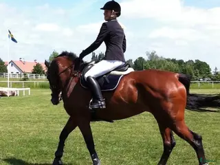 Jackor & Kavajer ryttarutrustning till salu: Tävlingskavaj från Pikeur, svart, 38 (mer som 36) - Annons 4