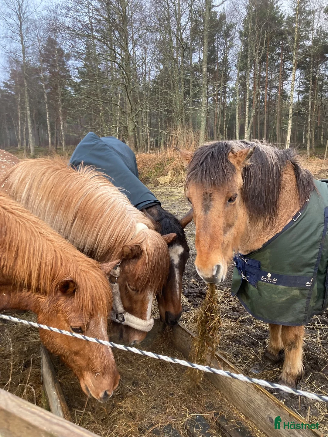  stallplats finnes: Stallplats finnes i Tungelsta, Haninge - Annons 6