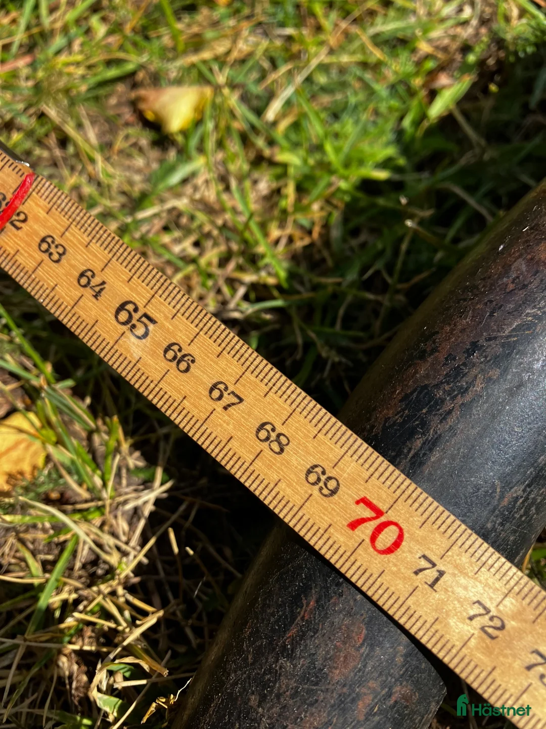 Körvagnar körning till salu: Trevlig rockard i Läckeby - Annons 6