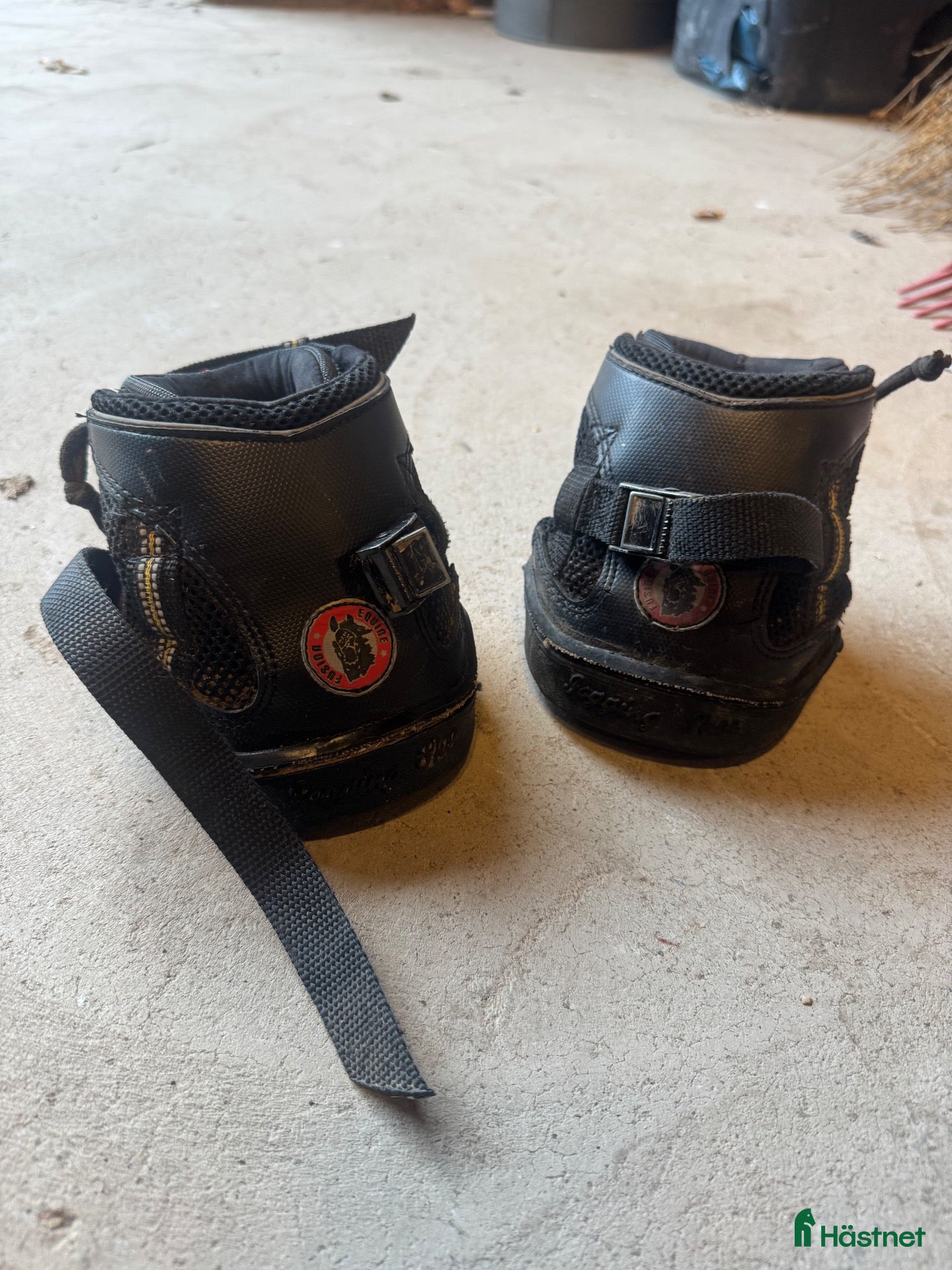 Övrig Hästutrustning hästutrustning Equine fusion boots  - Annons 9