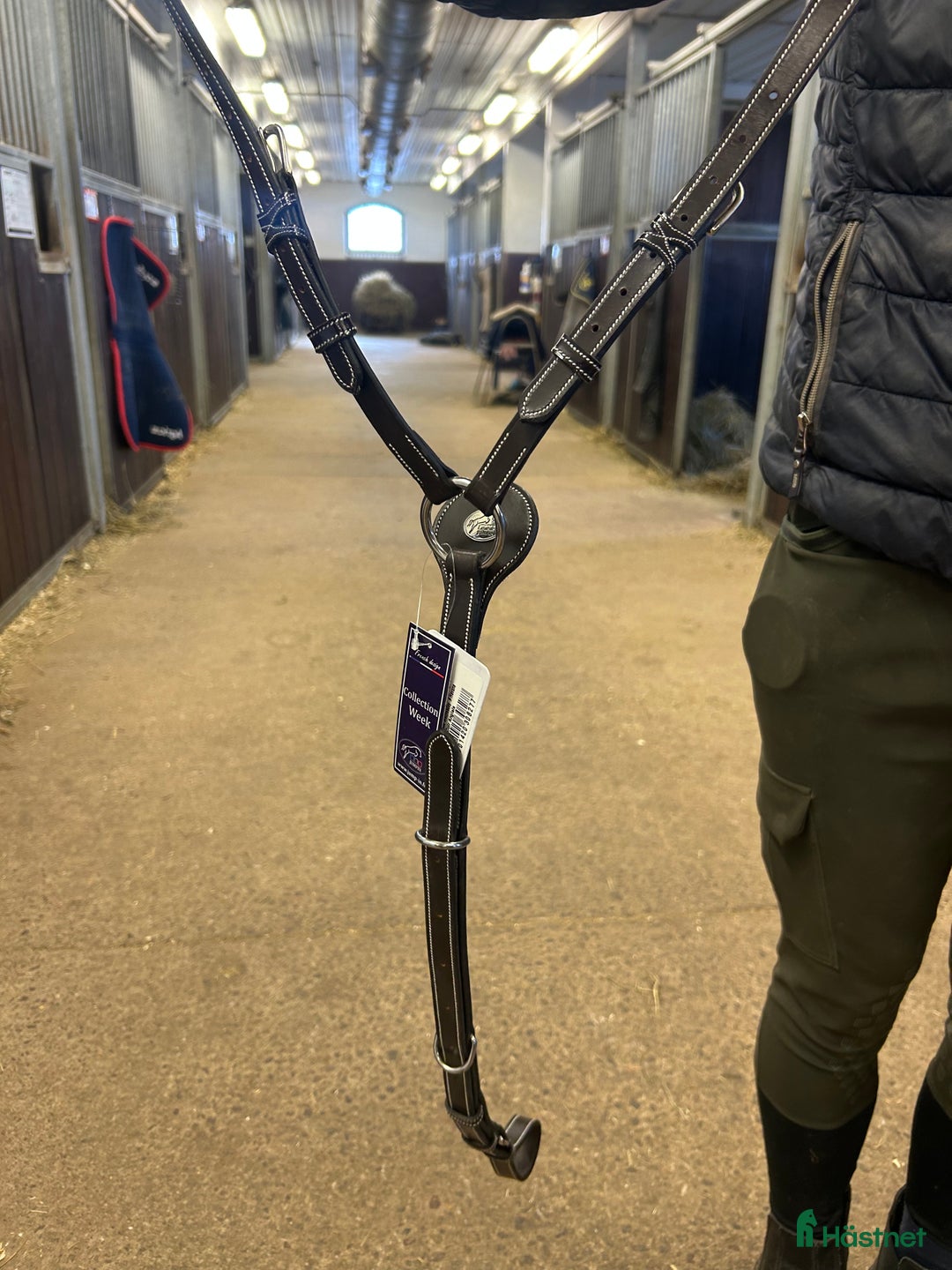 Övrig Hästutrustning hästutrustning till salu: Jump In Wednesday förbygel i Älmeboda - Annons 1