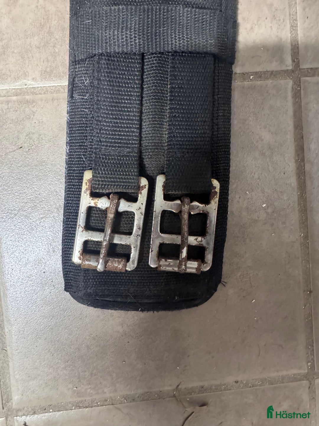 Övrig Hästutrustning hästutrustning till salu: Tömkörningsgjord i Borlänge - Annons 4