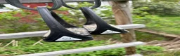 Sadeltillbehör hästutrustning till salu: Stigbyglar / stigläder - Annons 3