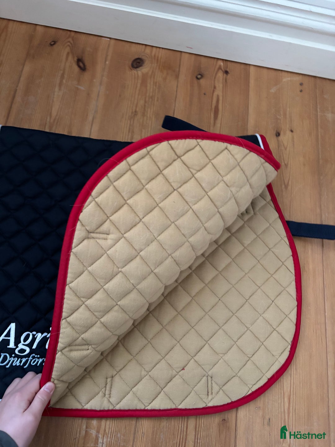 Schabrak & Vojlockar hästutrustning till salu: Agria schabrak💕 i Habo - Annons 2