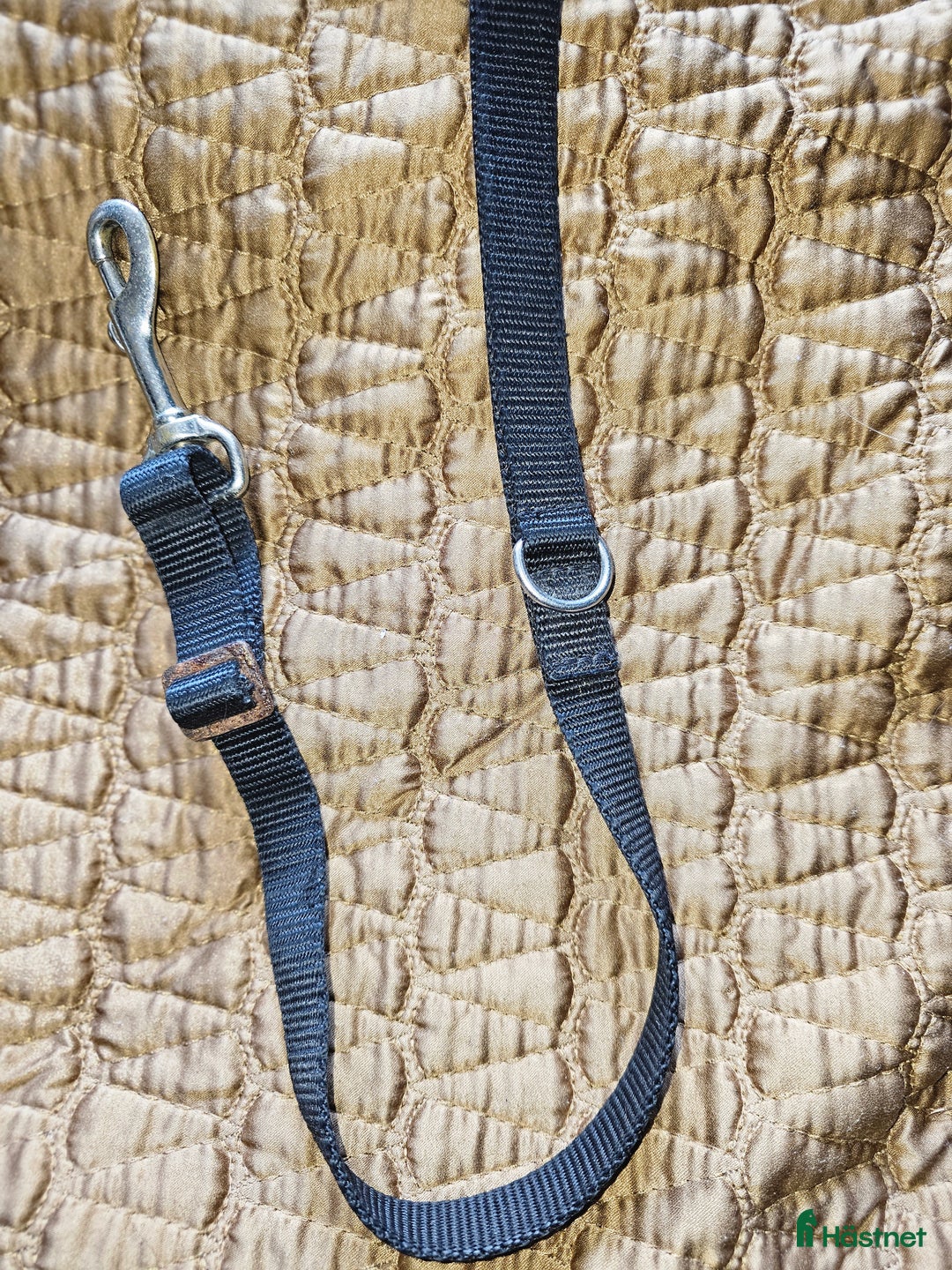 Sadeltillbehör hästutrustning till salu: Förbygel i nylon i Söråker - Annons 6