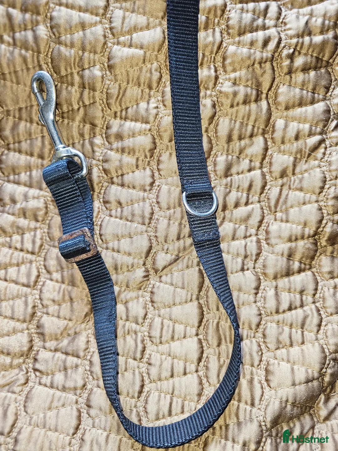 Sadeltillbehör hästutrustning till salu: Förbygel i nylon i Söråker - Annons 6