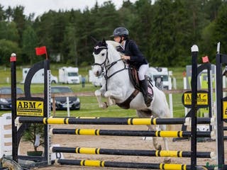 hästar Fin läromästare i Filipstad - Annons 9