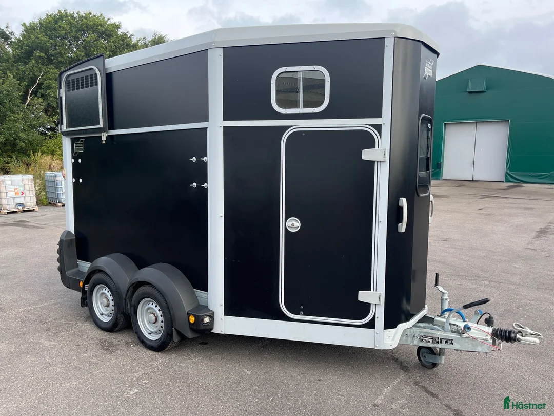 Hästtransporter  fordon & transport till salu: Ifor willams 511 i Sölvesborg - Annons 2