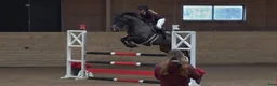 Hoppning hästar till salu: Lovande D-ponny med hjärta och potential 🌟 - Annons 2