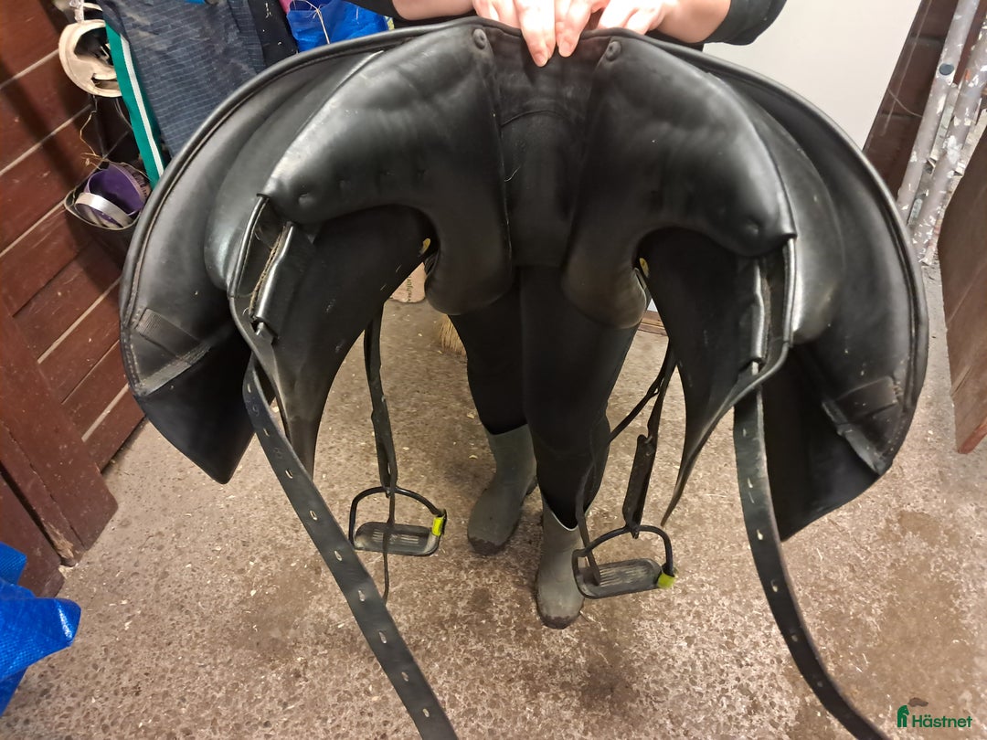 Sadlar hästutrustning till salu: Prestige D1 icelandic  i Åkersberga - Annons 3