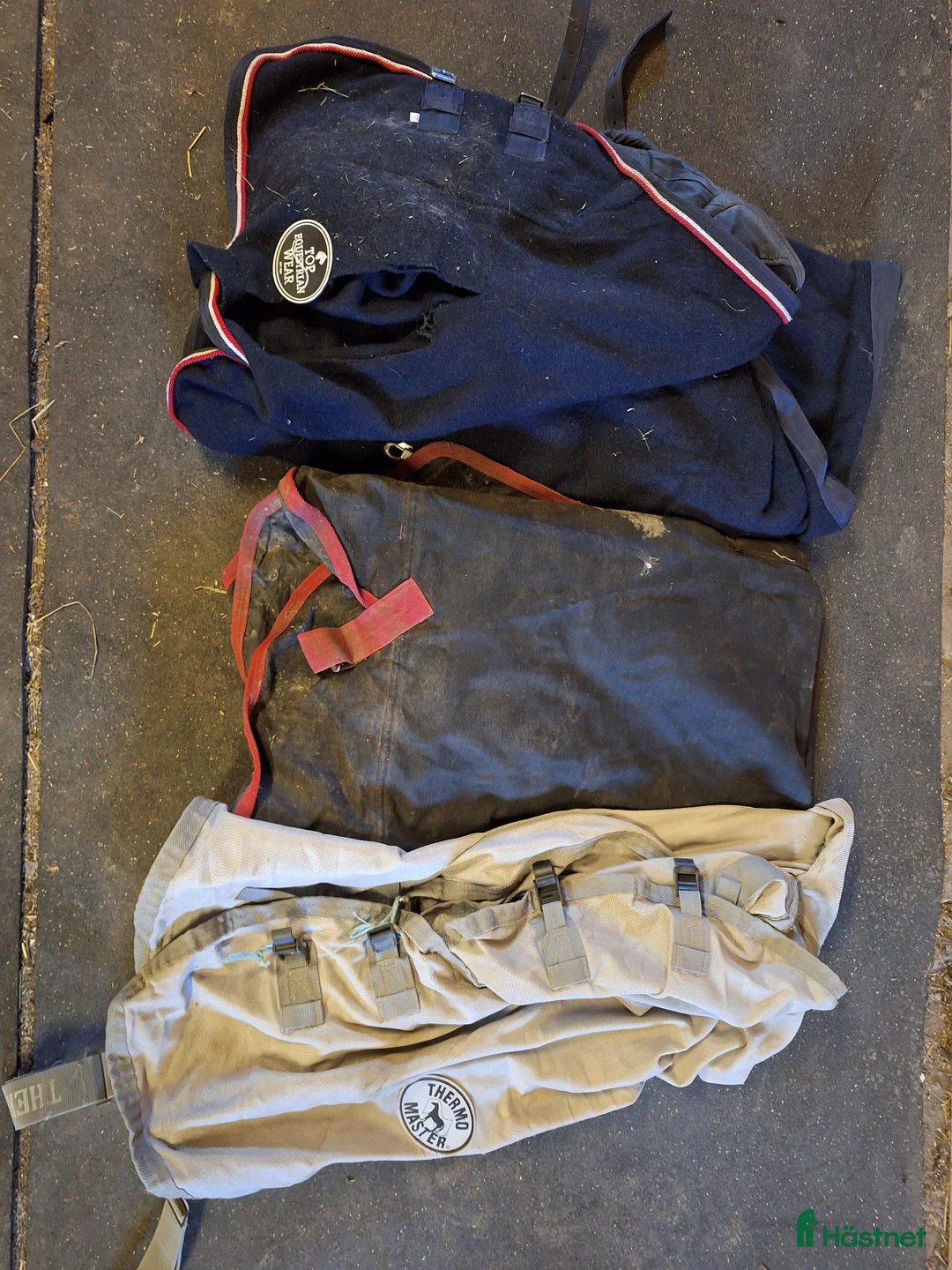 Övrig Hästutrustning hästutrustning till salu: Rensning - Annons 18