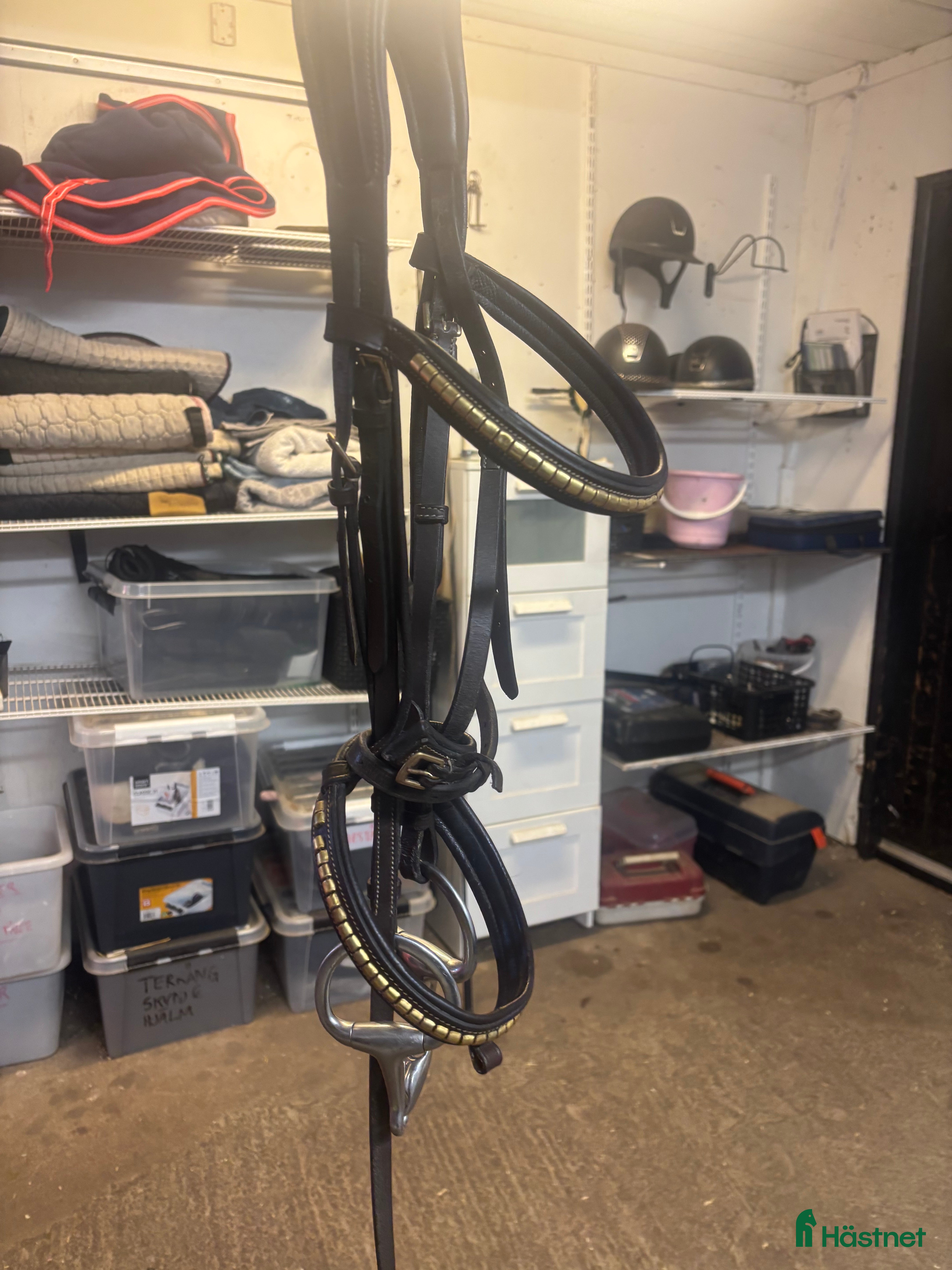 Träns hästutrustning Fint träns  - Annons 7