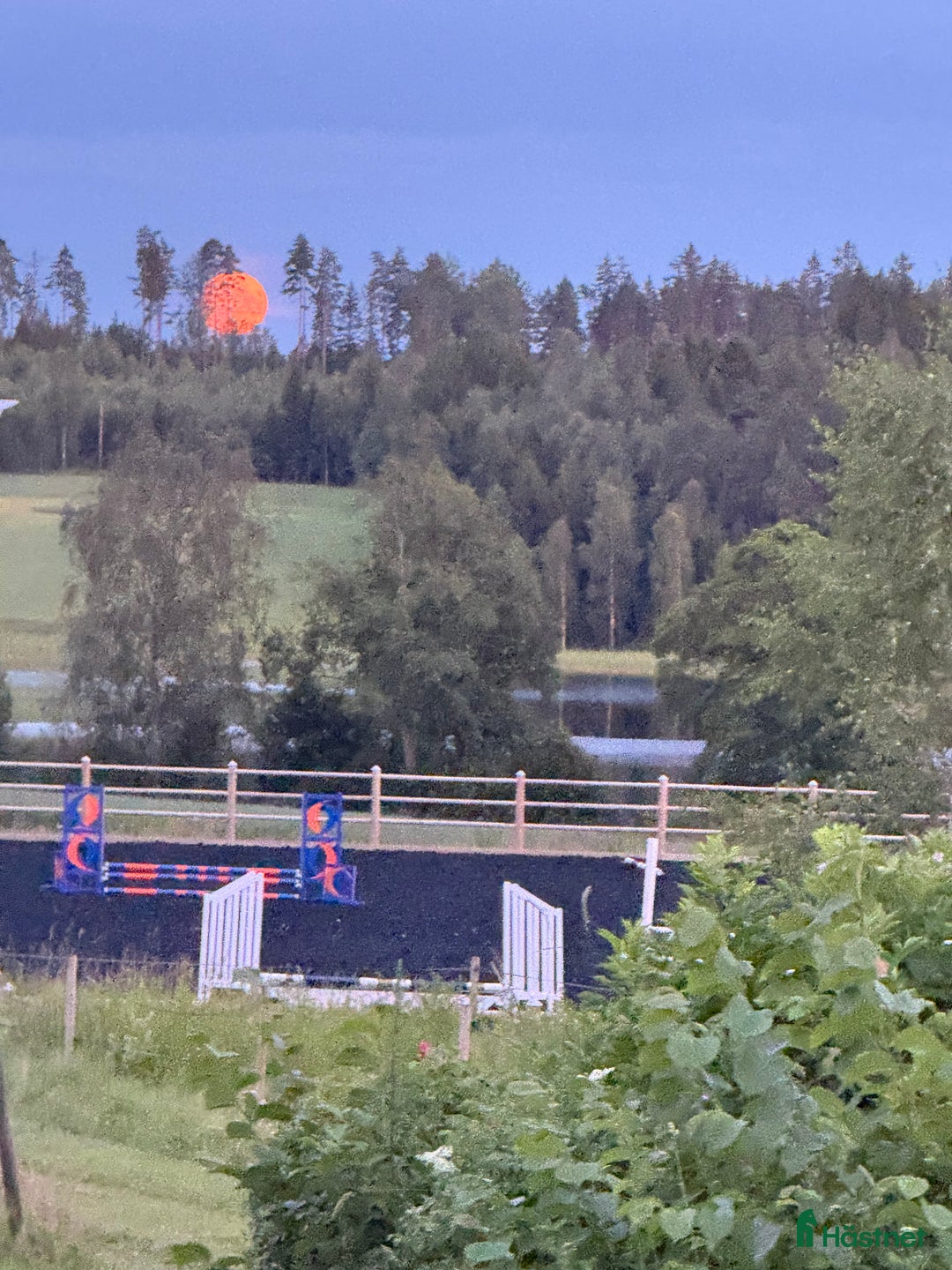  stallplats finnes: Stall platser/konvalecens/rehab/ i Lindesberg - Bild 4