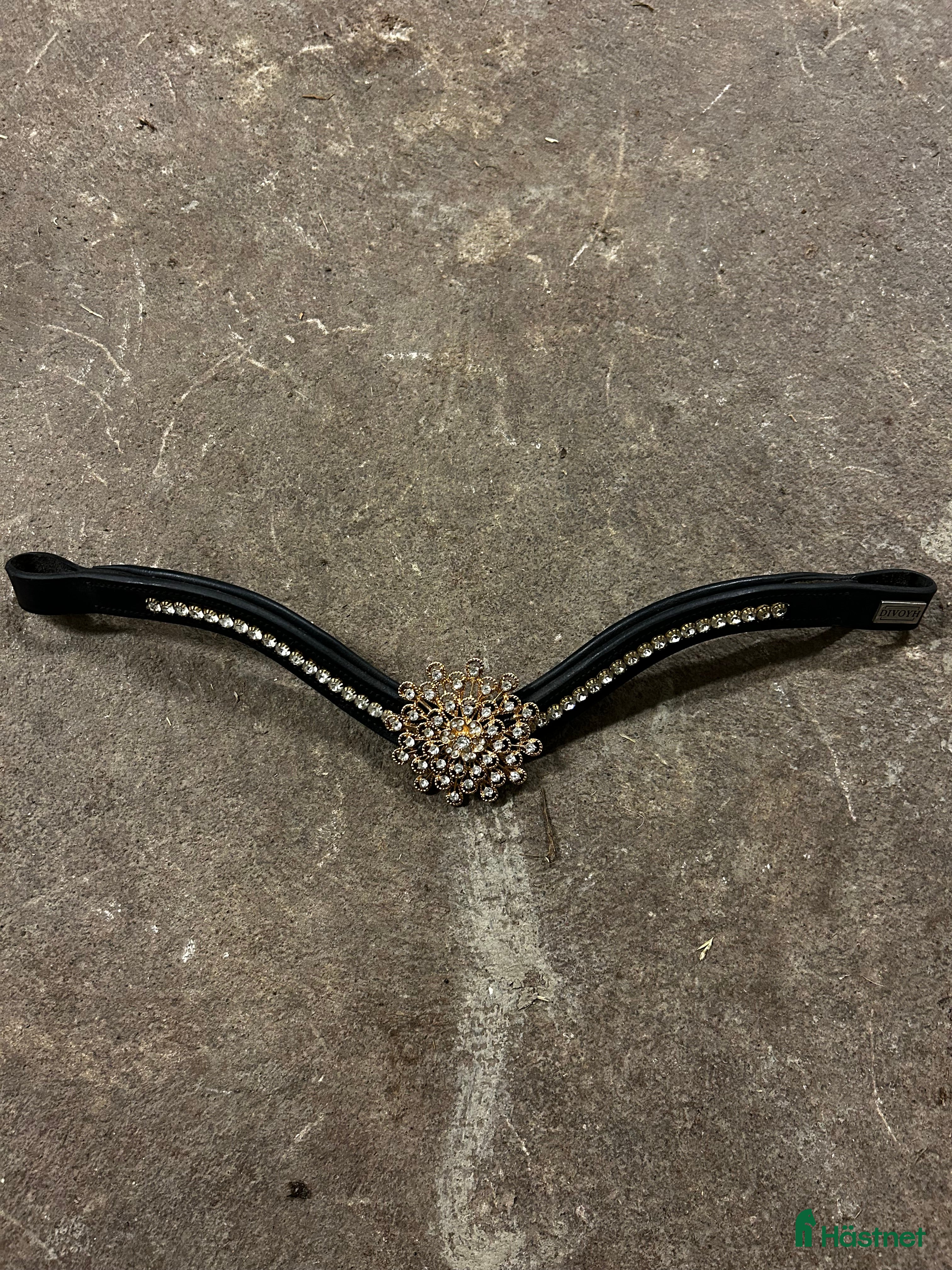 Träns hästutrustning till salu: Divoyh pannband  i Uppsala - Annons 4