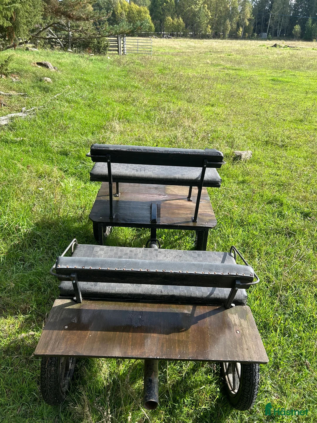 Körvagnar körning till salu: Unik Parvagn 4-sitsig  i Skövde - Annons 3