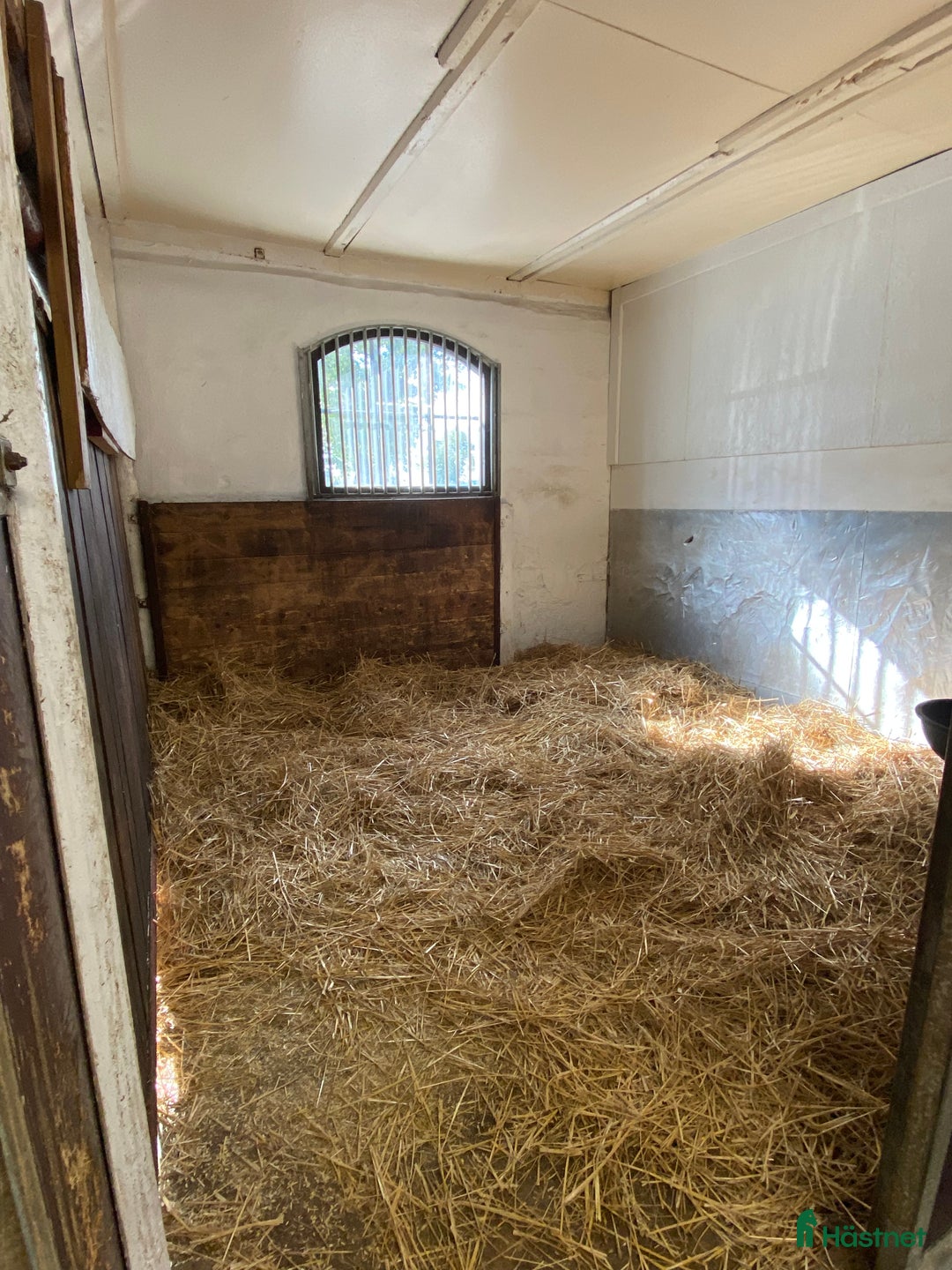  stallplats finnes: Litet stall Söderköping/norrköping  i Norrköping - Annons 2