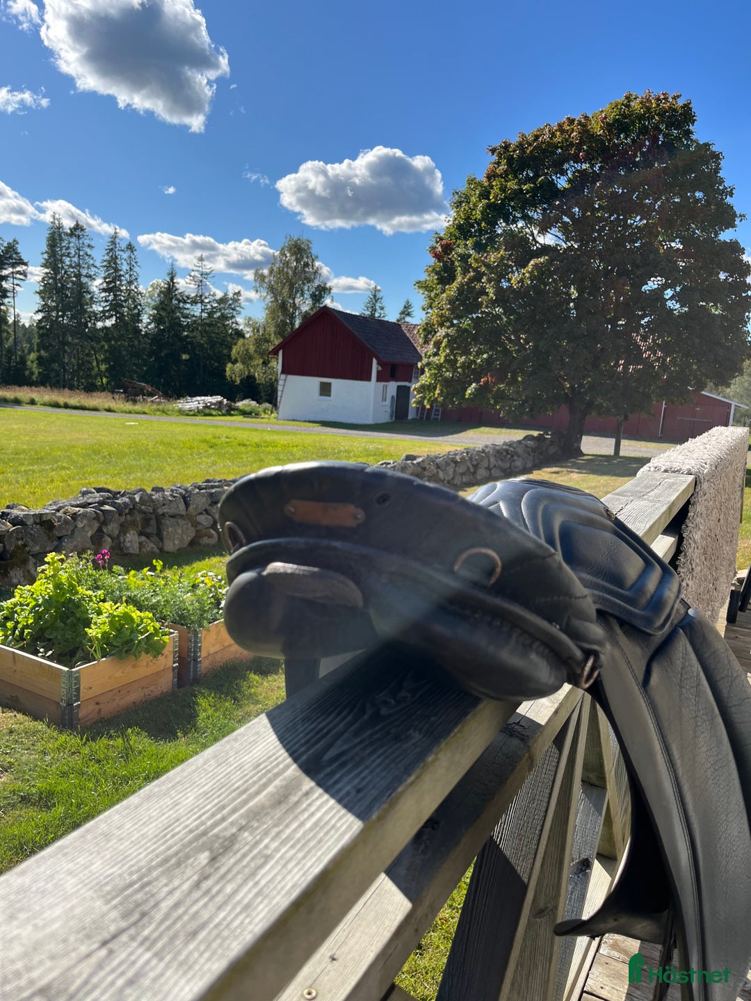 Sadlar hästutrustning till salu: Islands-sadel i Hjo - Annons 5