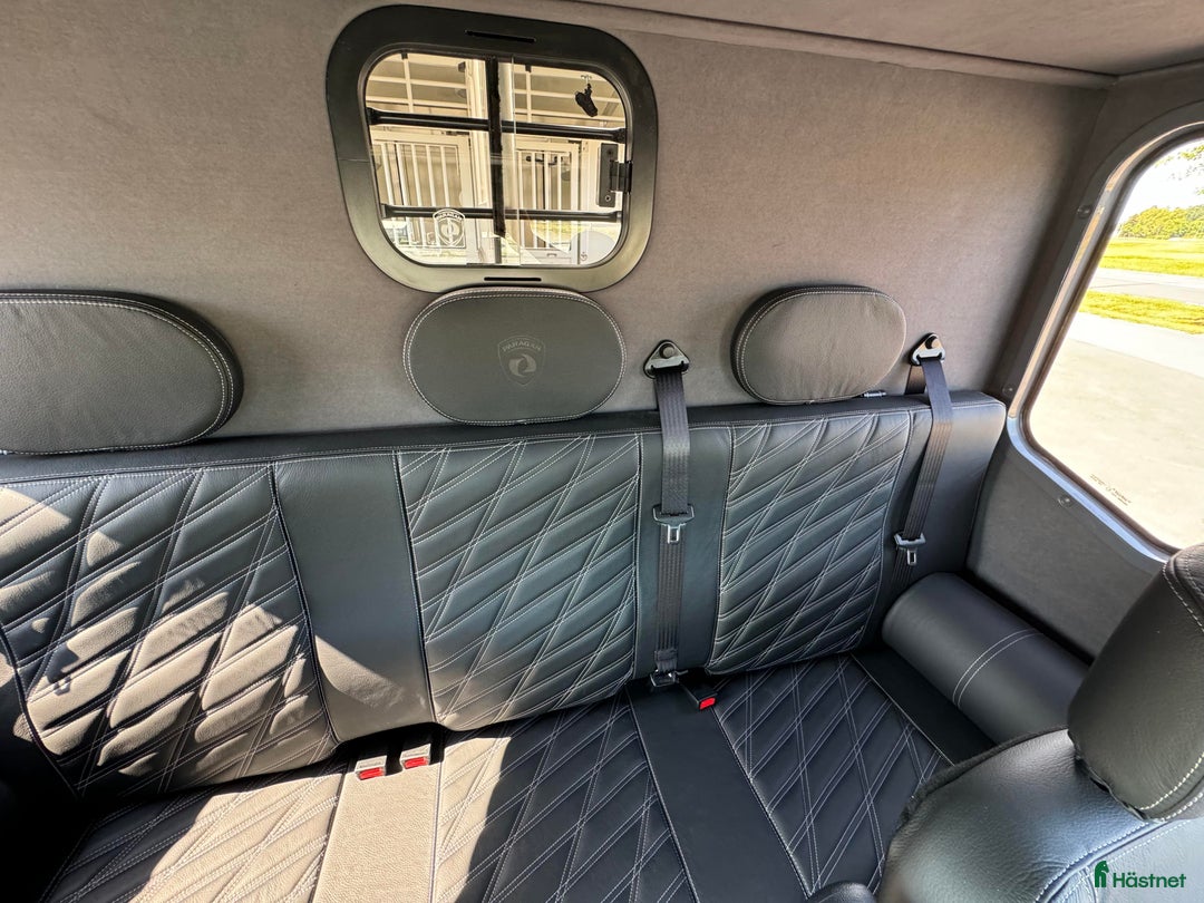 Hästlastbilar  fordon & transport till salu: PARAGAN EXCELSION 5XL STUTERI  i Köping - Bild 12