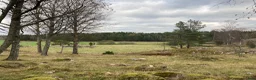  stallplats finnes: Plats i lösdriftsstall med stora hagar - Annons 3