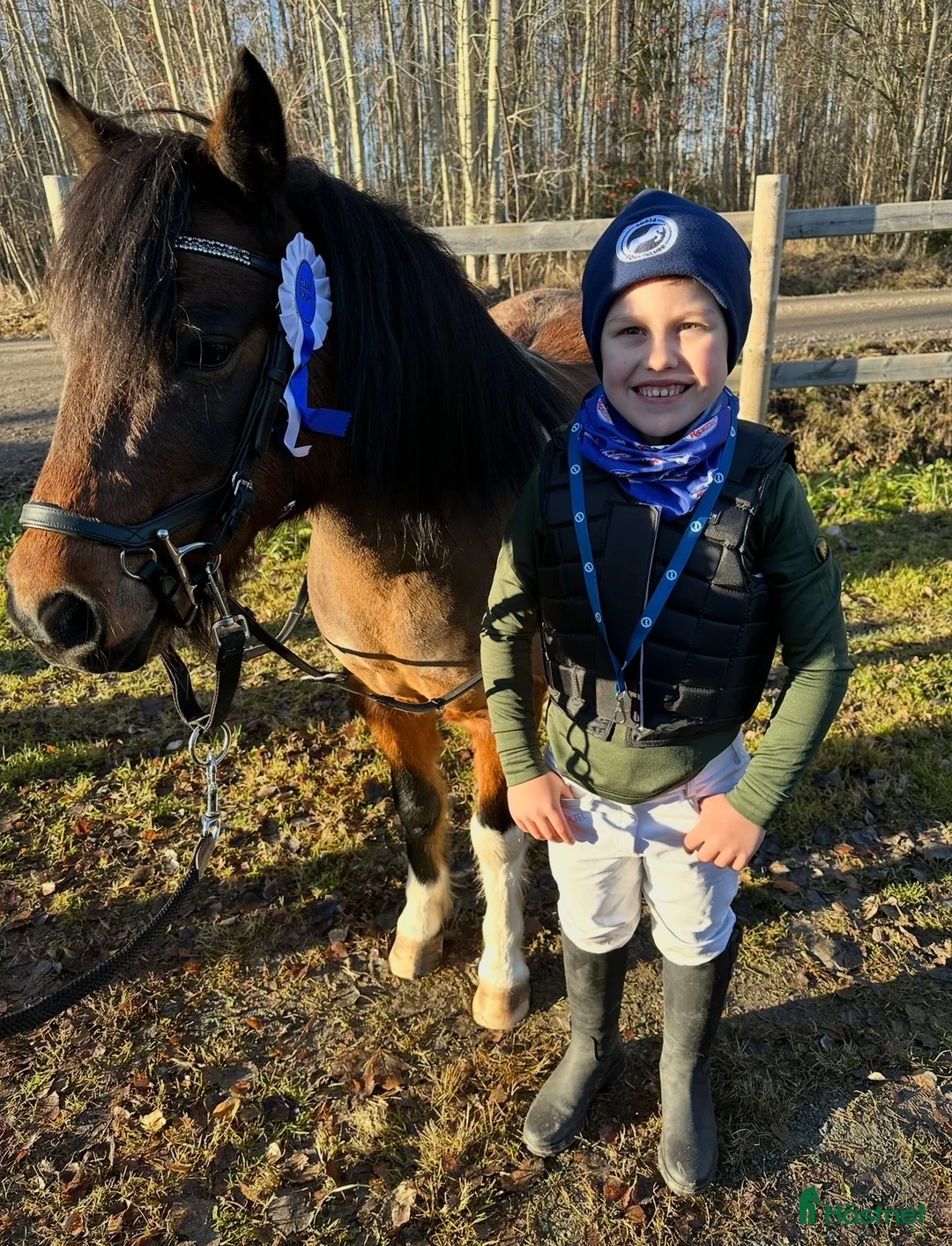 Allround hästar till salu: Den ultimata barnponnyn  - Annons 4