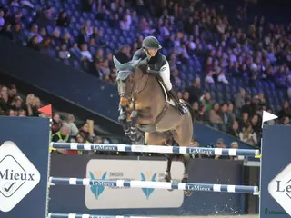 hästar Topphäst Children/Junior - Annons 3